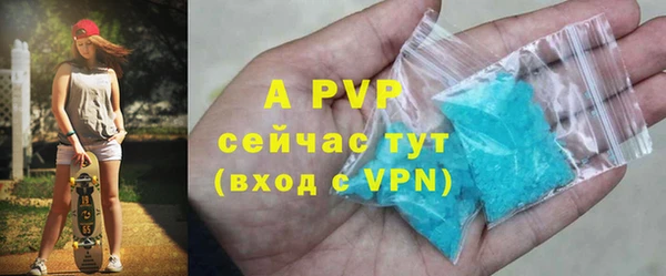 шишки Карпинск