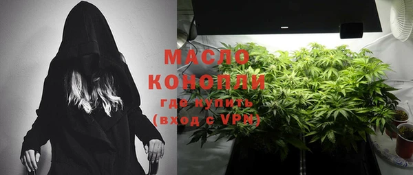 шишки Карпинск