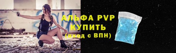 шишки Карпинск