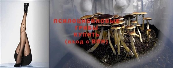 ГАЛЛЮЦИНОГЕННЫЕ ГРИБЫ Карталы