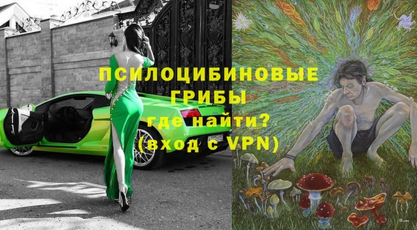 ГАЛЛЮЦИНОГЕННЫЕ ГРИБЫ Карталы