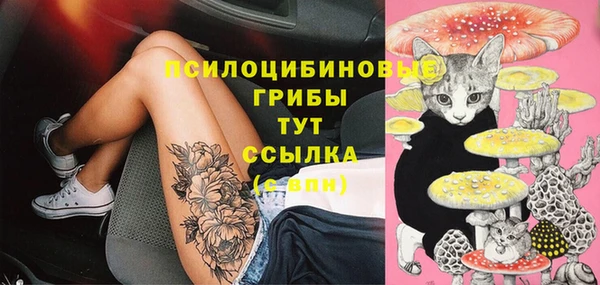 ГАЛЛЮЦИНОГЕННЫЕ ГРИБЫ Карталы
