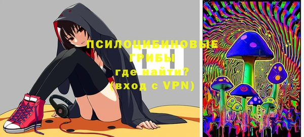ГАЛЛЮЦИНОГЕННЫЕ ГРИБЫ Карталы