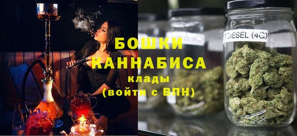 шишки Карпинск