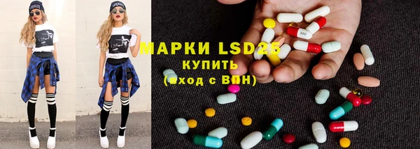 ГАЛЛЮЦИНОГЕННЫЕ ГРИБЫ Карталы
