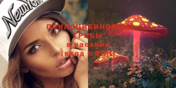 шишки Карпинск
