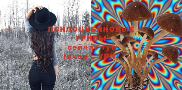 шишки Карпинск