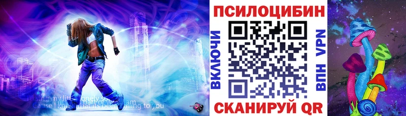 Купить где  Себеж  Галлюциногенные грибы MAGIC MUSHROOMS 
